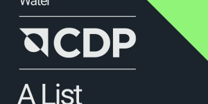 罗姆入选“CDP气候变化”与“CDP水安全”管理“A级”榜单企业