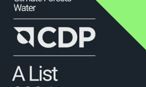 罗姆入选“CDP气候变化”与“CDP水安全”管理“A级”榜单企业